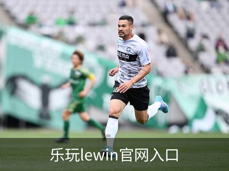 了解乐玩lewin官网入口